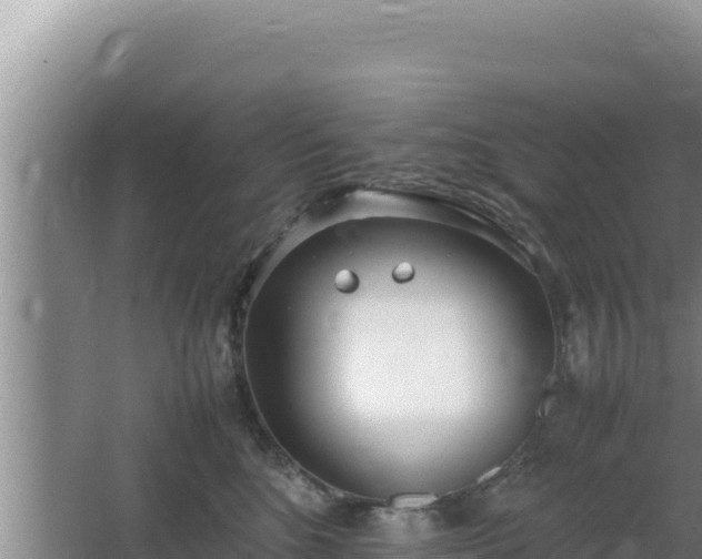 X0000064730520200602131253