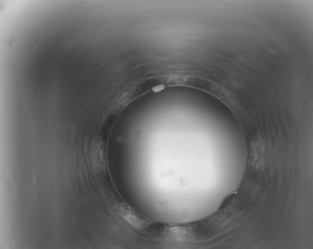 X0000064730522200602131253