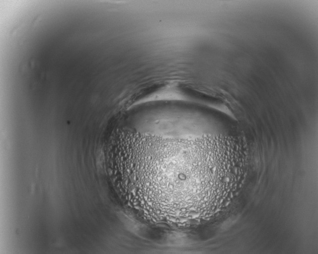 X0000064730523200602131253