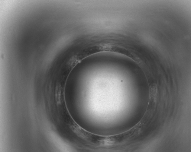 X0000064730525200602131253