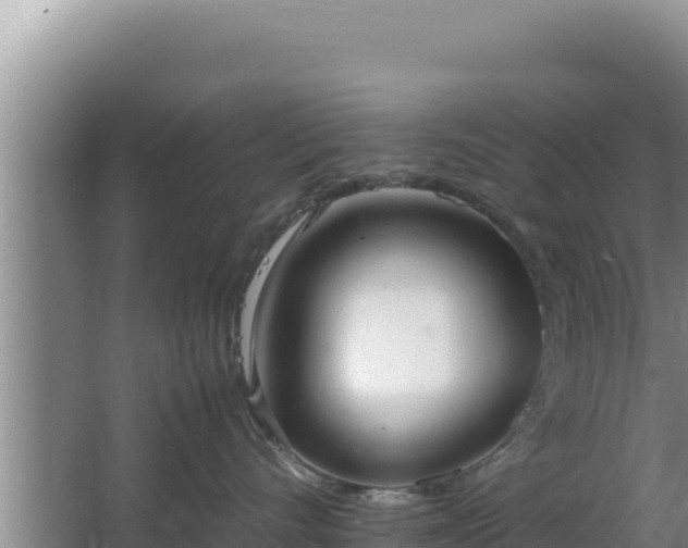 X0000064730528200602131253