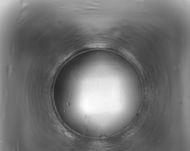 X0000064730529200602131252