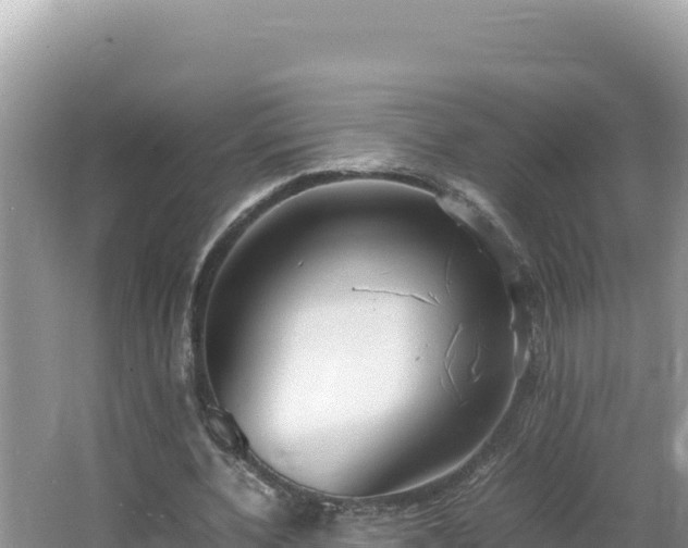 X0000064730532200602131252