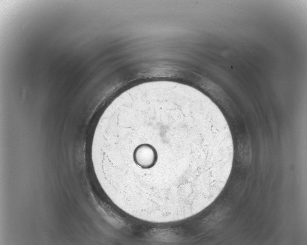 X0000064730534200602131252