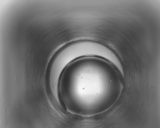 X0000064730536200602131253