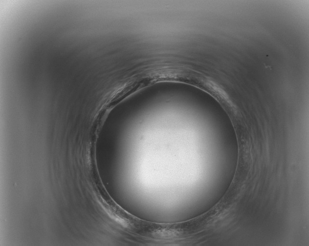 X0000064730537200602131253