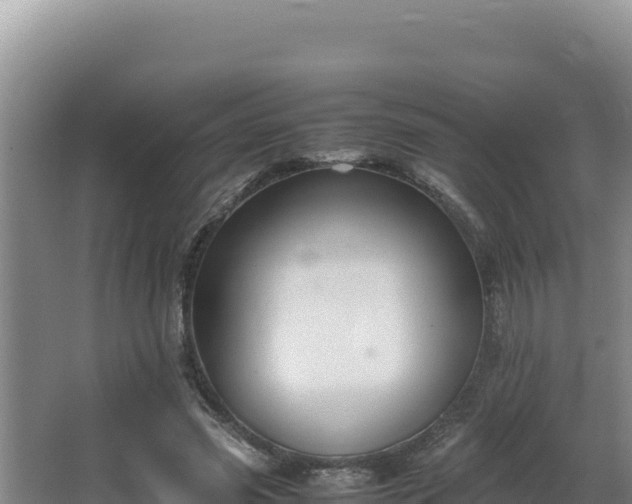 X0000064730541200602131253