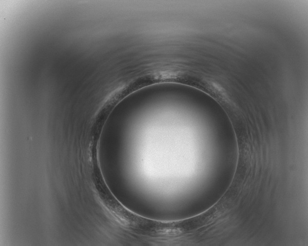 X0000064730543200602131253