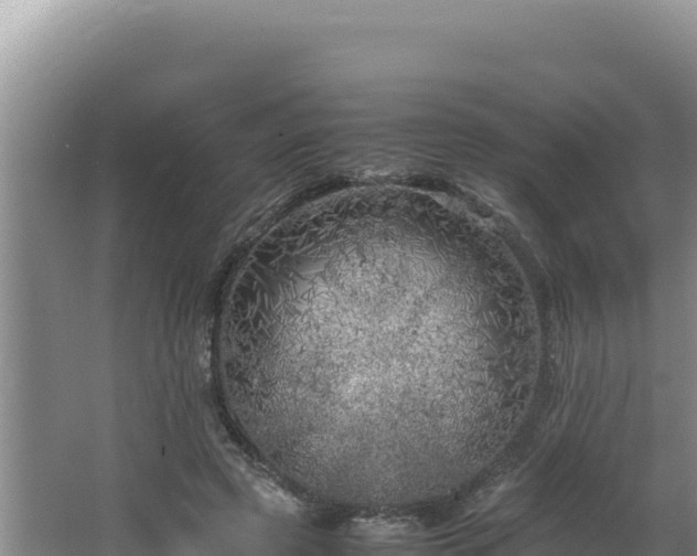 X0000064730545200602131253