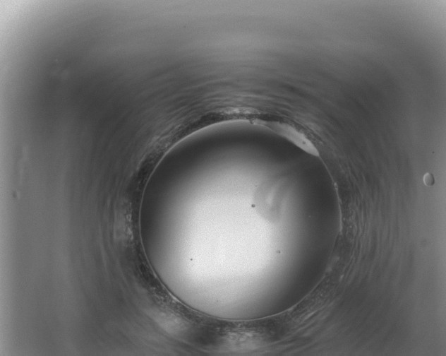 X0000064730547200602131253