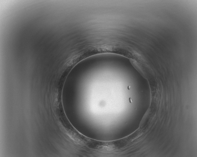 X0000064730548200602131253