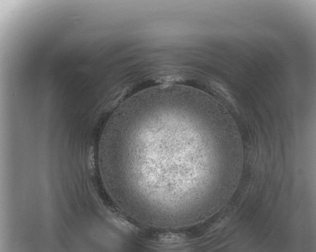 X0000064730549200602131253