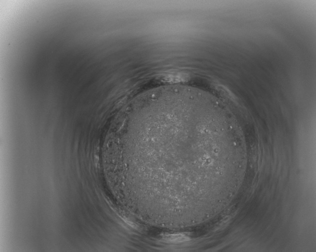 X0000064730553200602131253