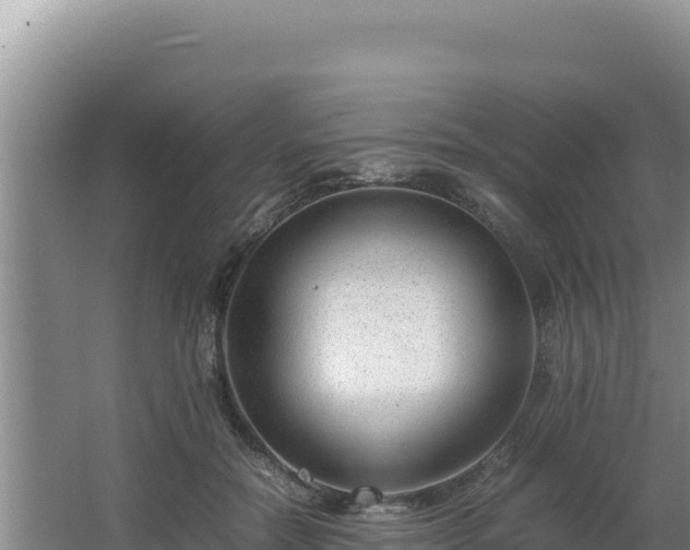 X0000064730554200602131253