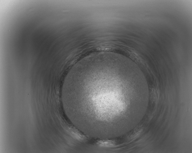 X0000064730557200602131253