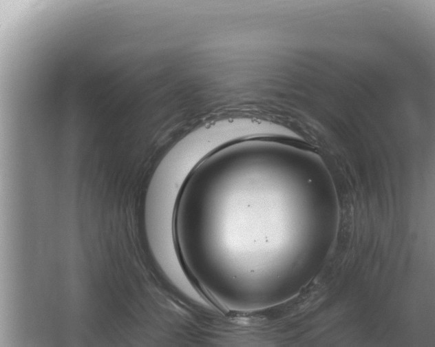 X0000064730558200602131253