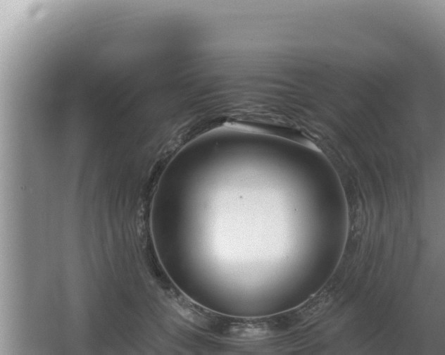 X0000064730559200602131253