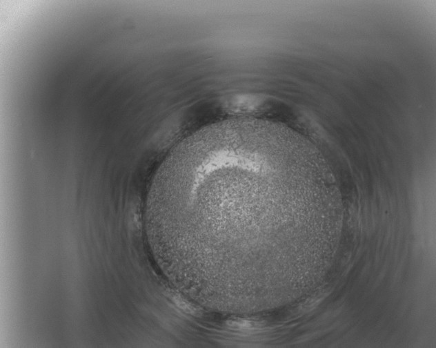 X0000064730561200602131253