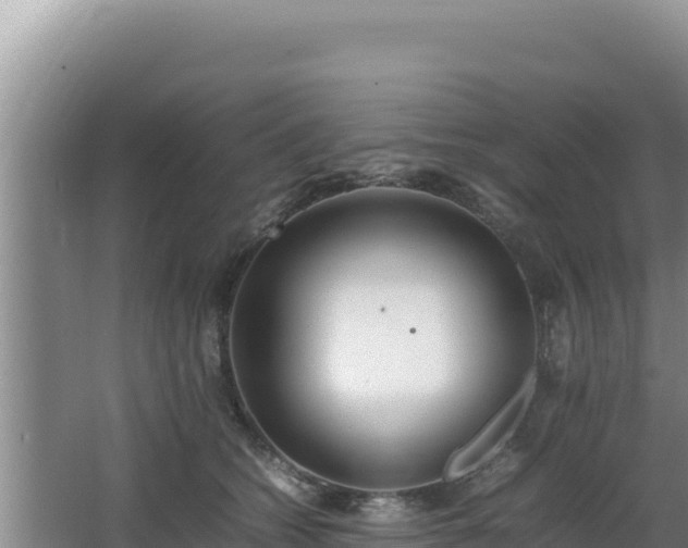 X0000064730562200602131253