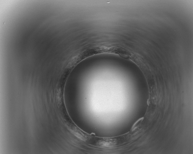 X0000064730563200602131253