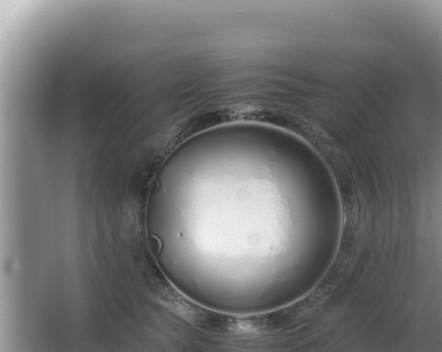 X0000064730565200602131253