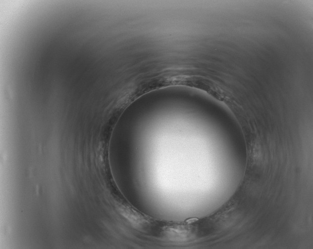 X0000064730567200602131253