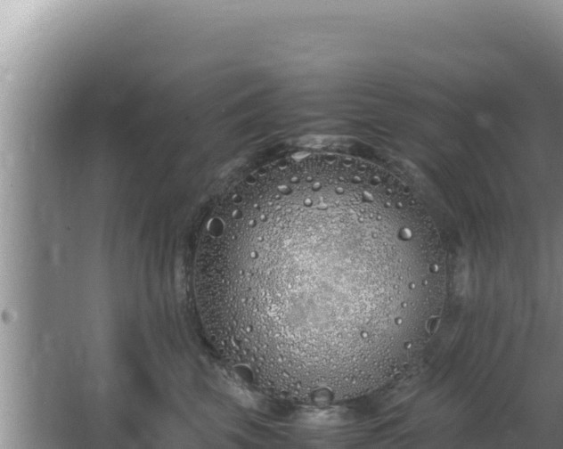 X0000064730569200602131253