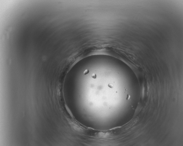 X0000064730570200602131253