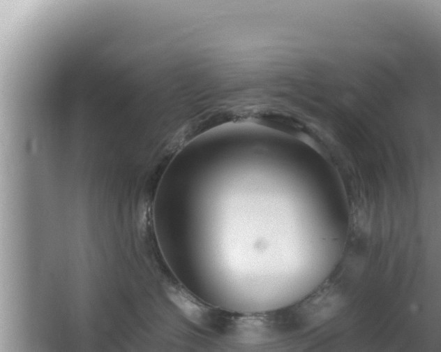 X0000064730574200602131253