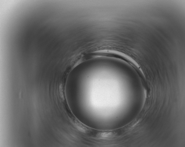 X0000064730575200602131253