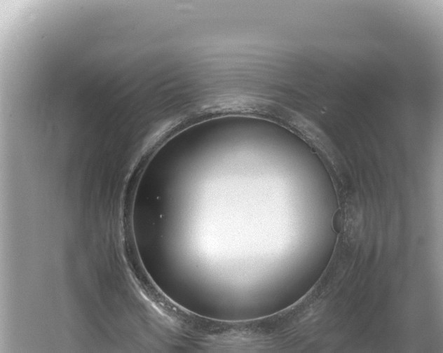 X0000064730578200602131252