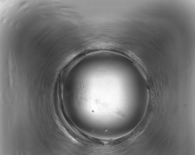 X0000064730581200602131252