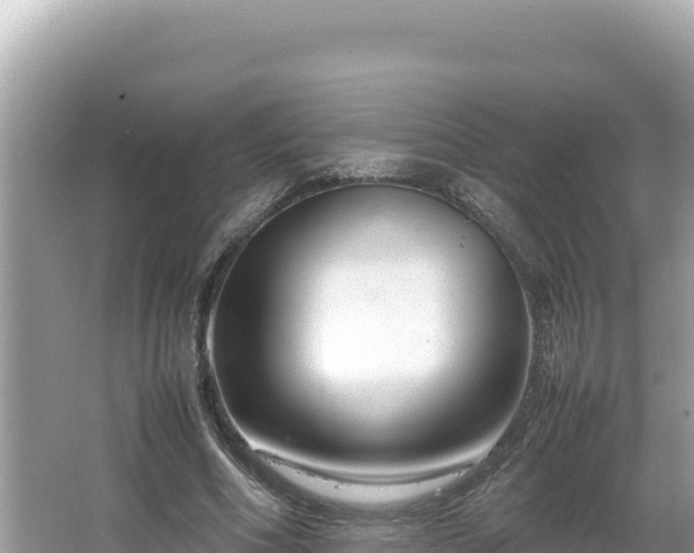 X0000064730586200602131252