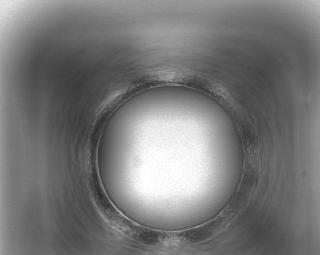 X0000064730587200602131252