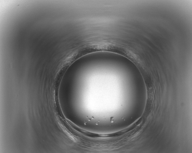 X0000064730589200602131252