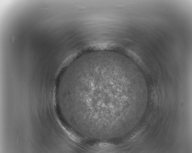 X0000064730590200602131252