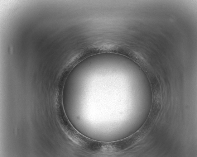 X0000064730591200602131252