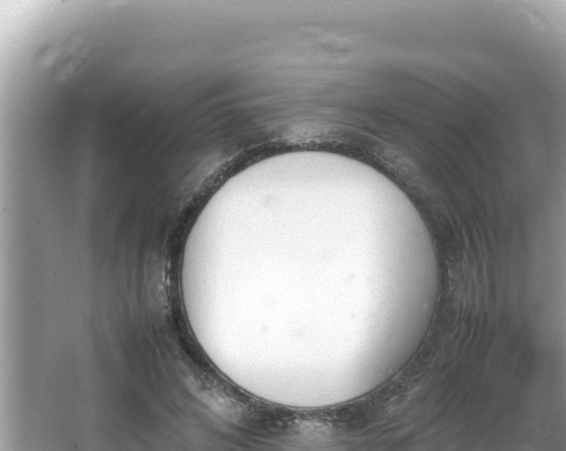 X0000064730592200602131252