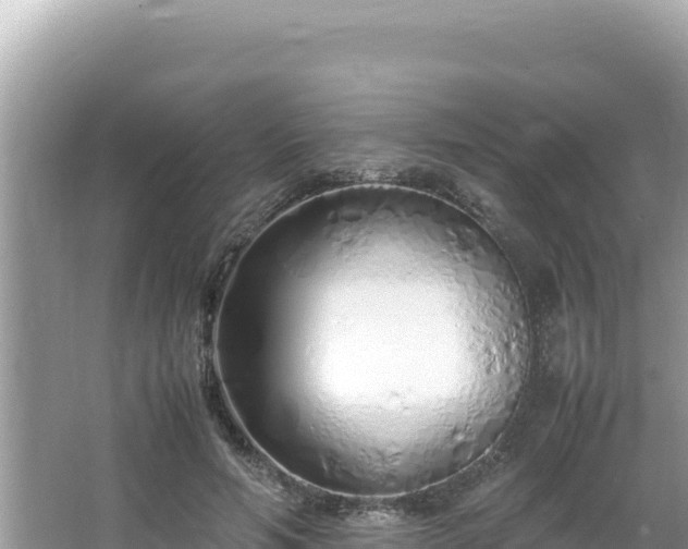 X0000064730594200602131252