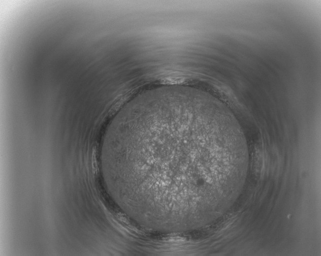 X0000064730598200602131252