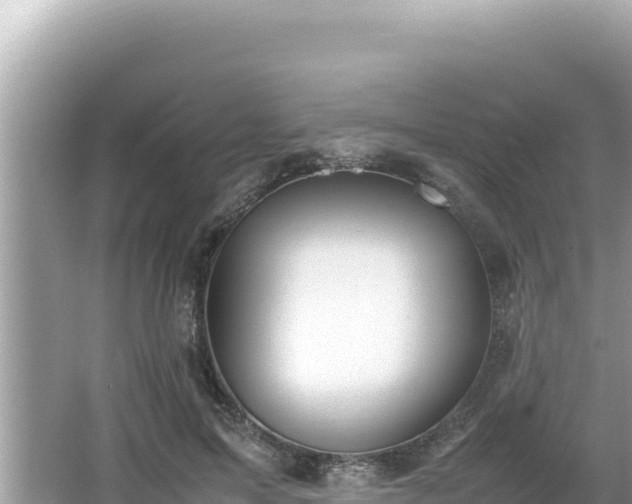 X0000064730599200602131252