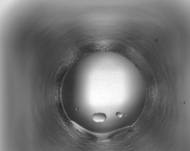 X0000064730602200602131252