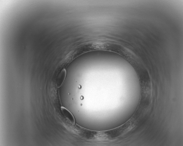 X0000064730603200602131252