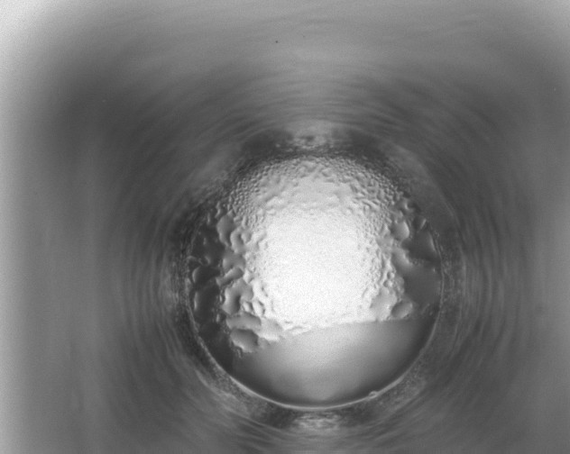 X0000064730606200602131252