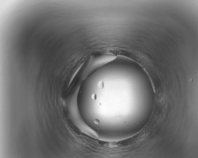 X0000064730607200602131252