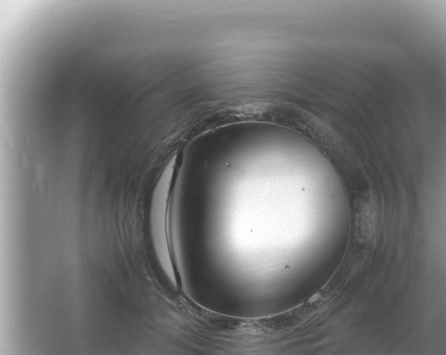 X0000064730608200602131252