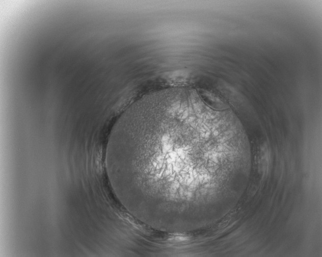 X0000064730610200602131252