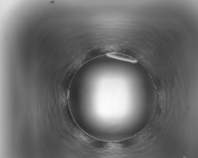 X0000064730617200602131252