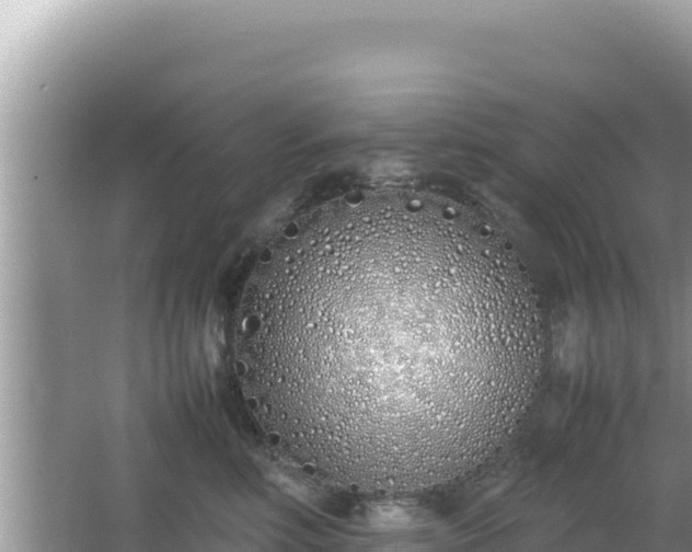 X0000064730618200602131252