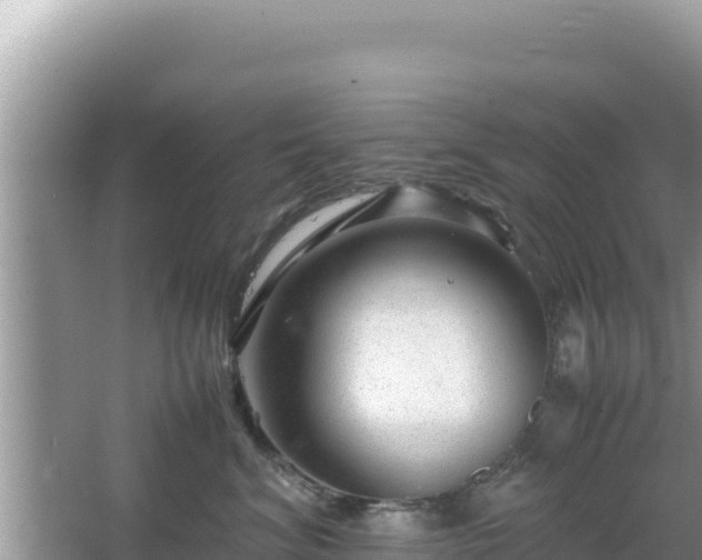 X0000064730620200602131252